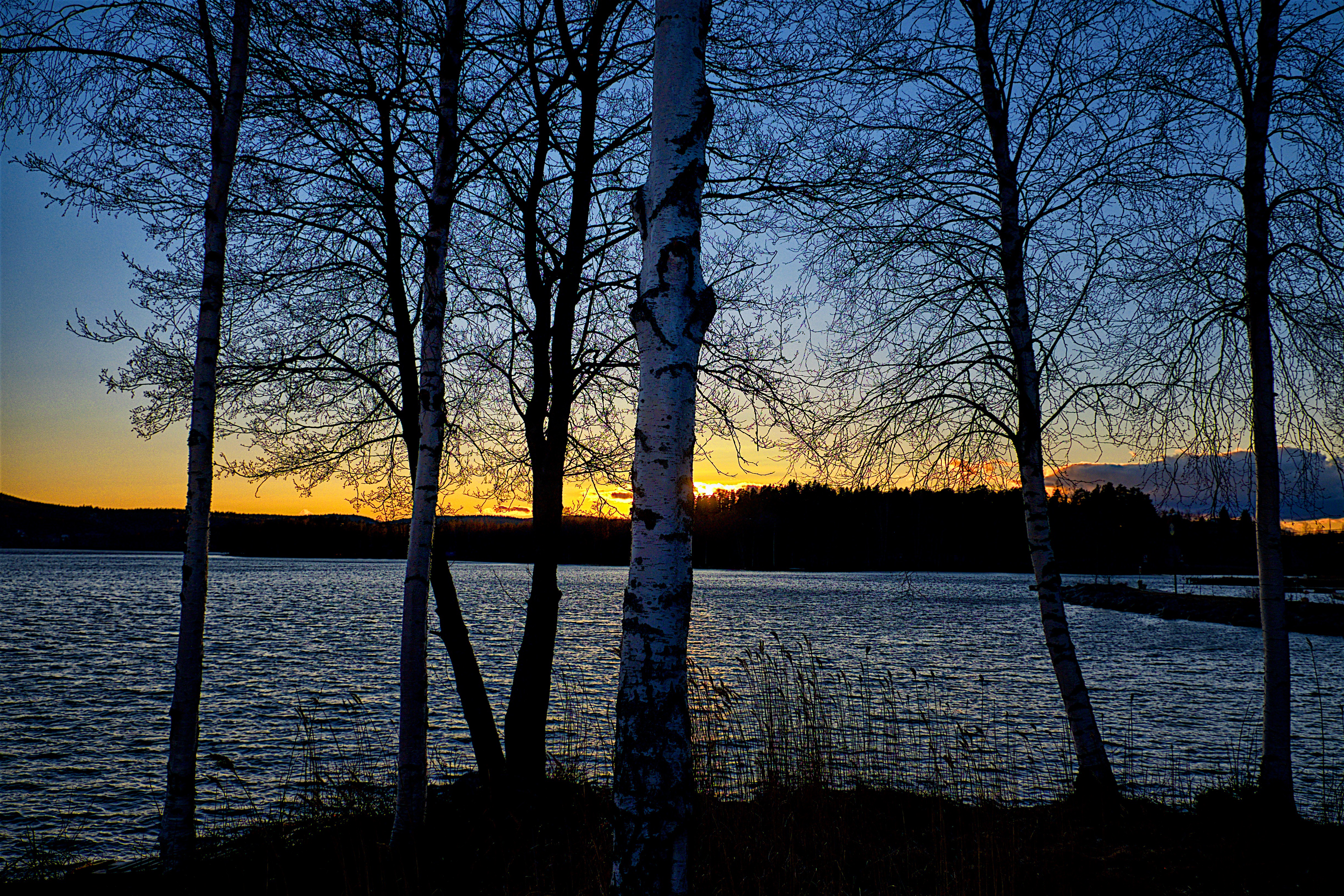 Wallpapers Klockestrand Sweden sunset on the desktop