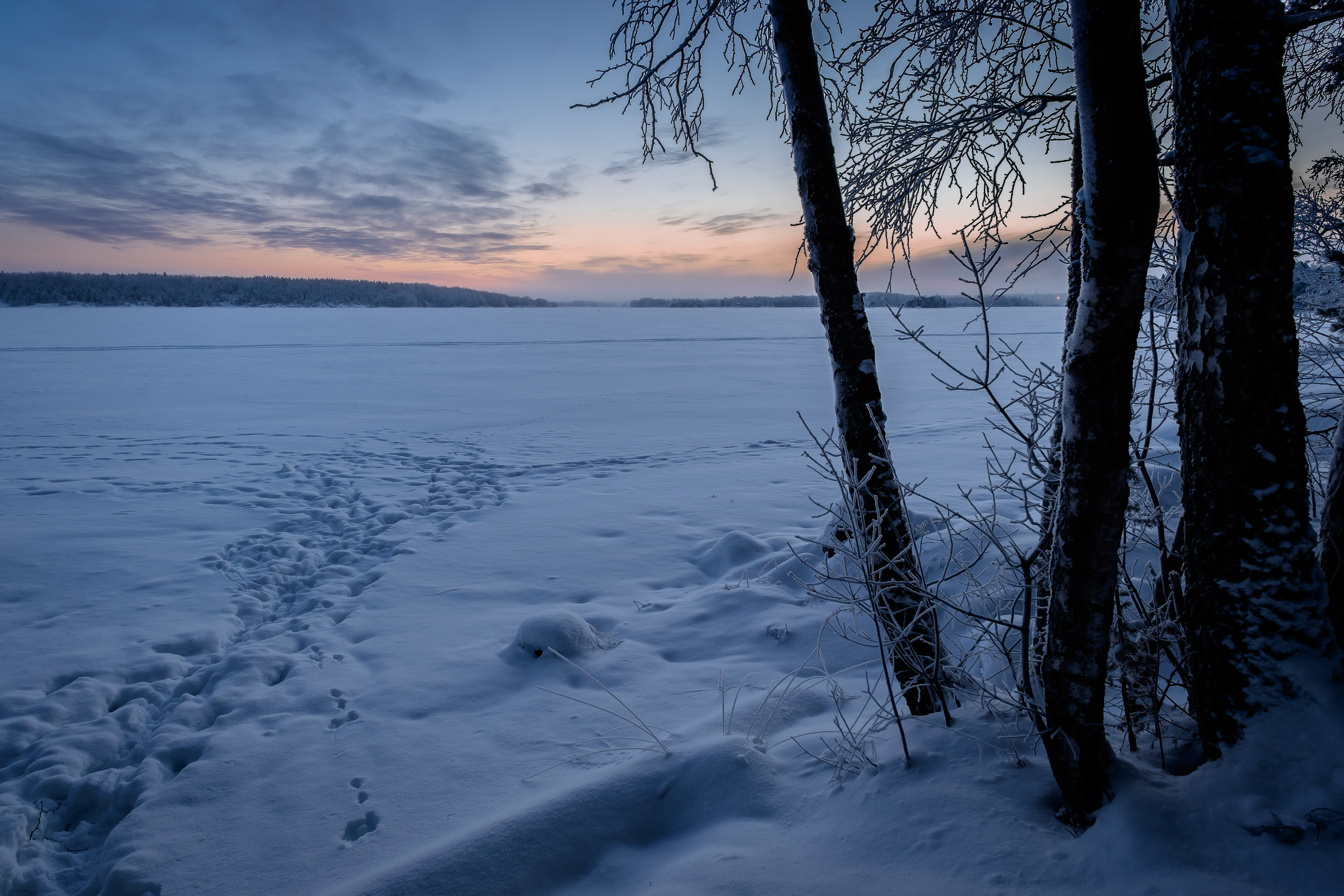 Финляндия январь. Мороз трескучий. Мороз близ ветёя. Картинка Мороз зимой. Доброе утро пятница зима Мороз.