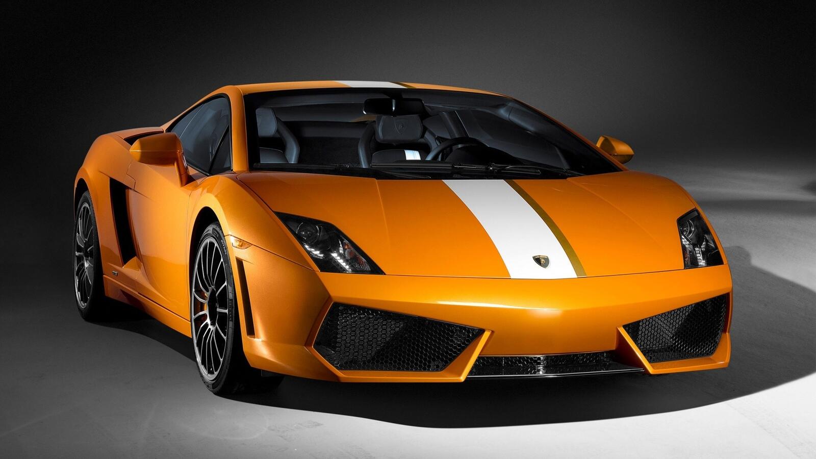 Обои Lamborghini Gallardo оранжевый белая полоса на рабочий стол
