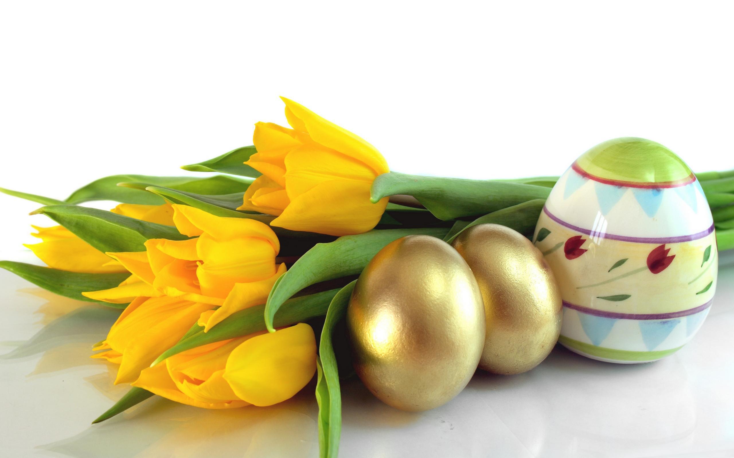 Обои цветы цветные яйца тюльпаны на рабочий стол
