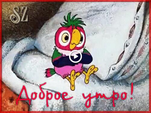 good morning good morning funny cartoon gifs parrot cache
