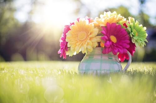 A vase of flowers in sunny weather