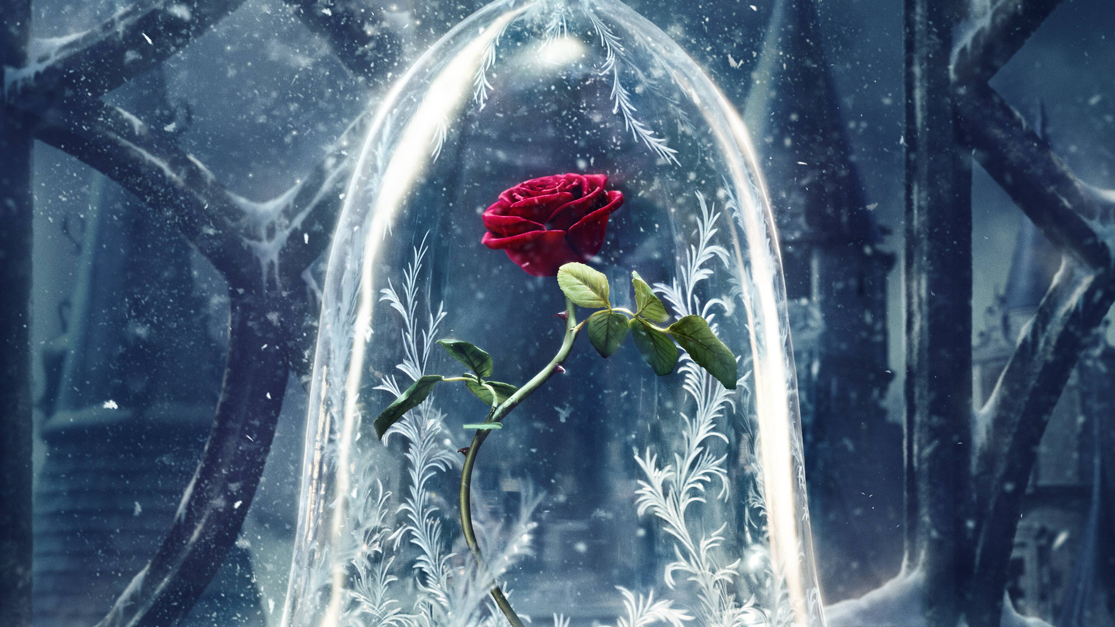 Красавица и чудовище фильм роза