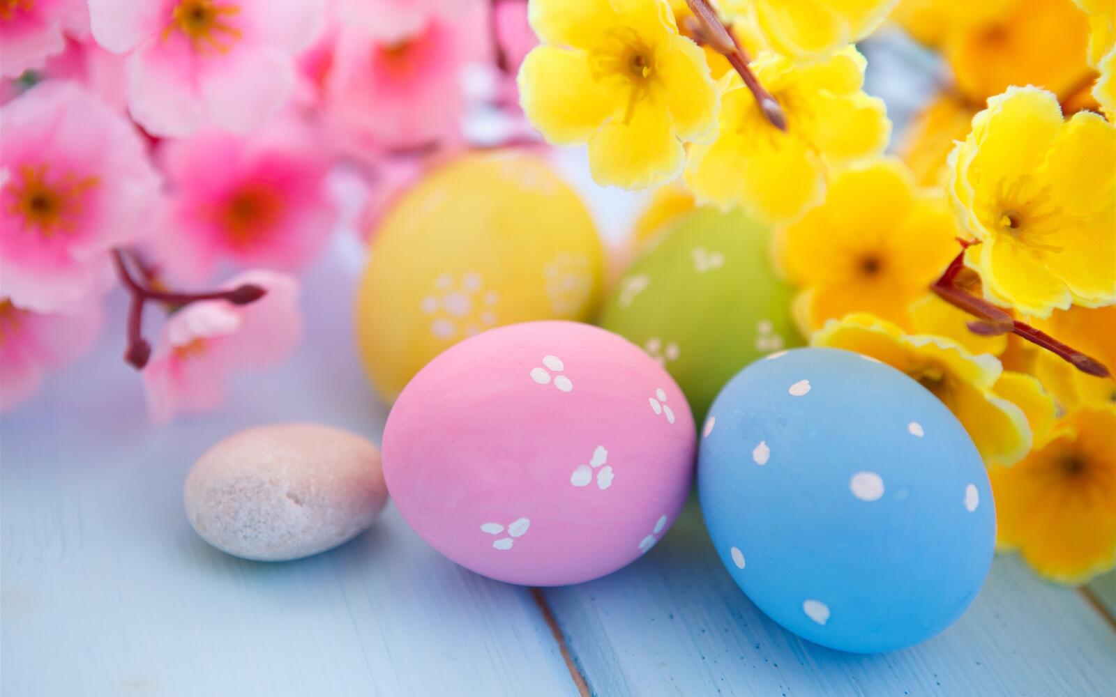 Free photo Colored Easter eggs