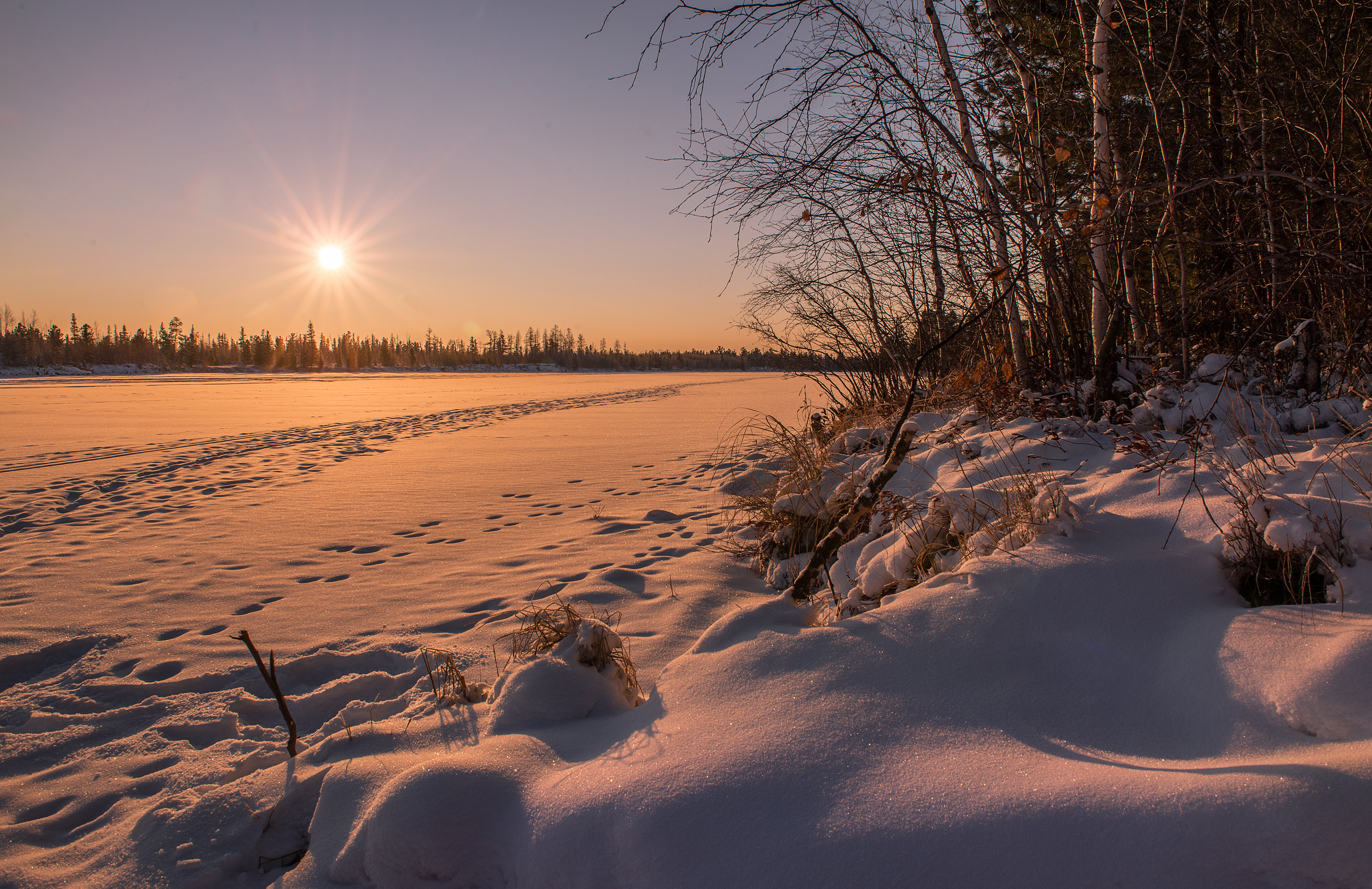 Photo free winter, frozen river, forest