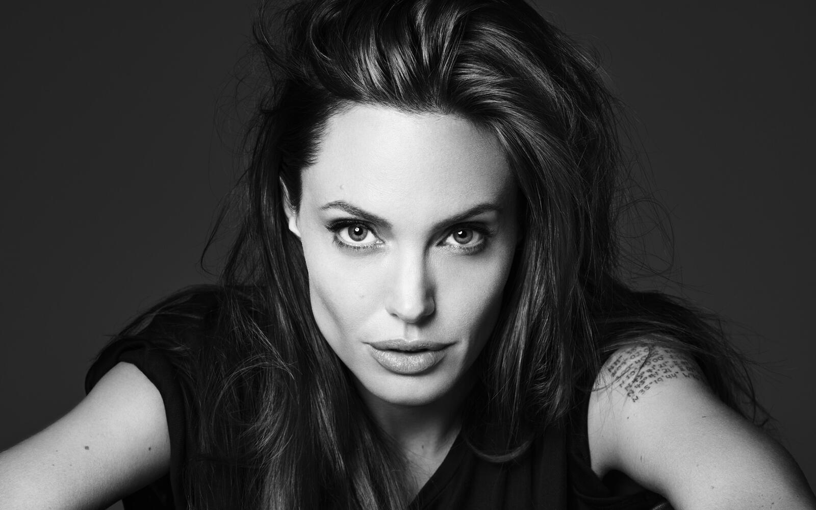 Wallpapers girls Angelina Jolie photoshoot on the desktop