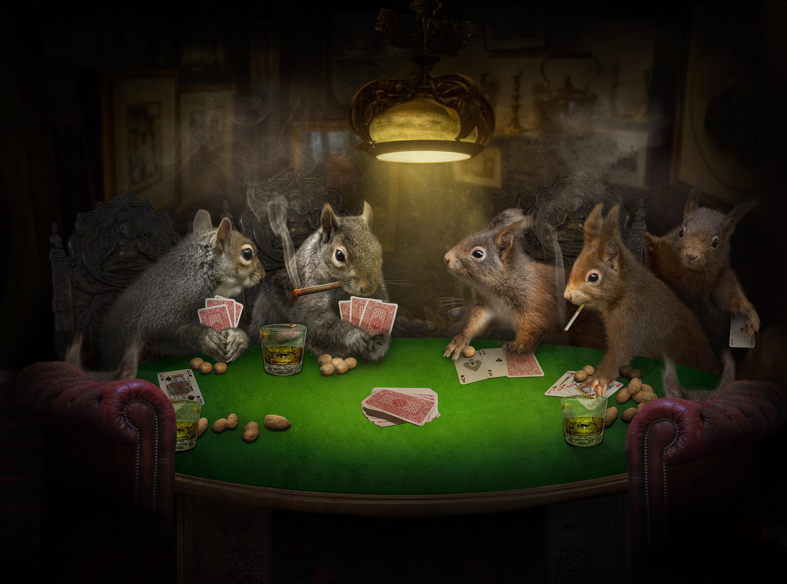 Free photo Funny squirrel gamblers
