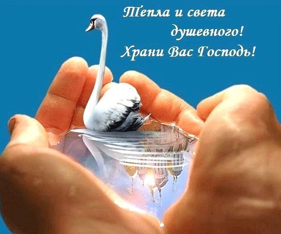 A postcard on the subject of good morning god bless you white swan request for free