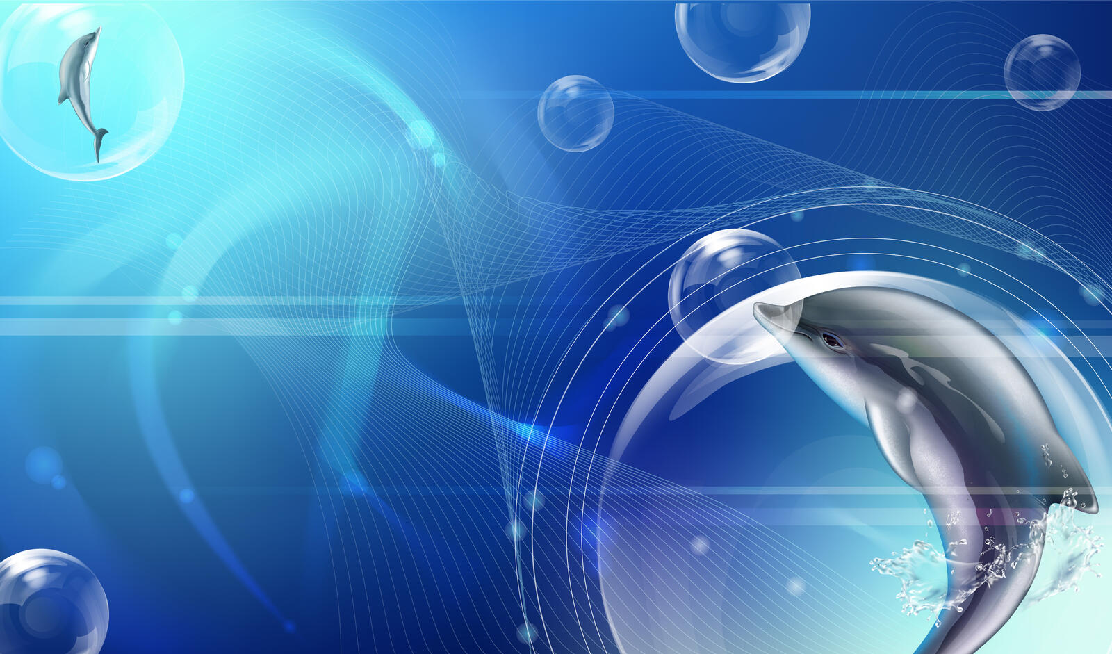 Wallpapers color dolphins abstraction on the desktop