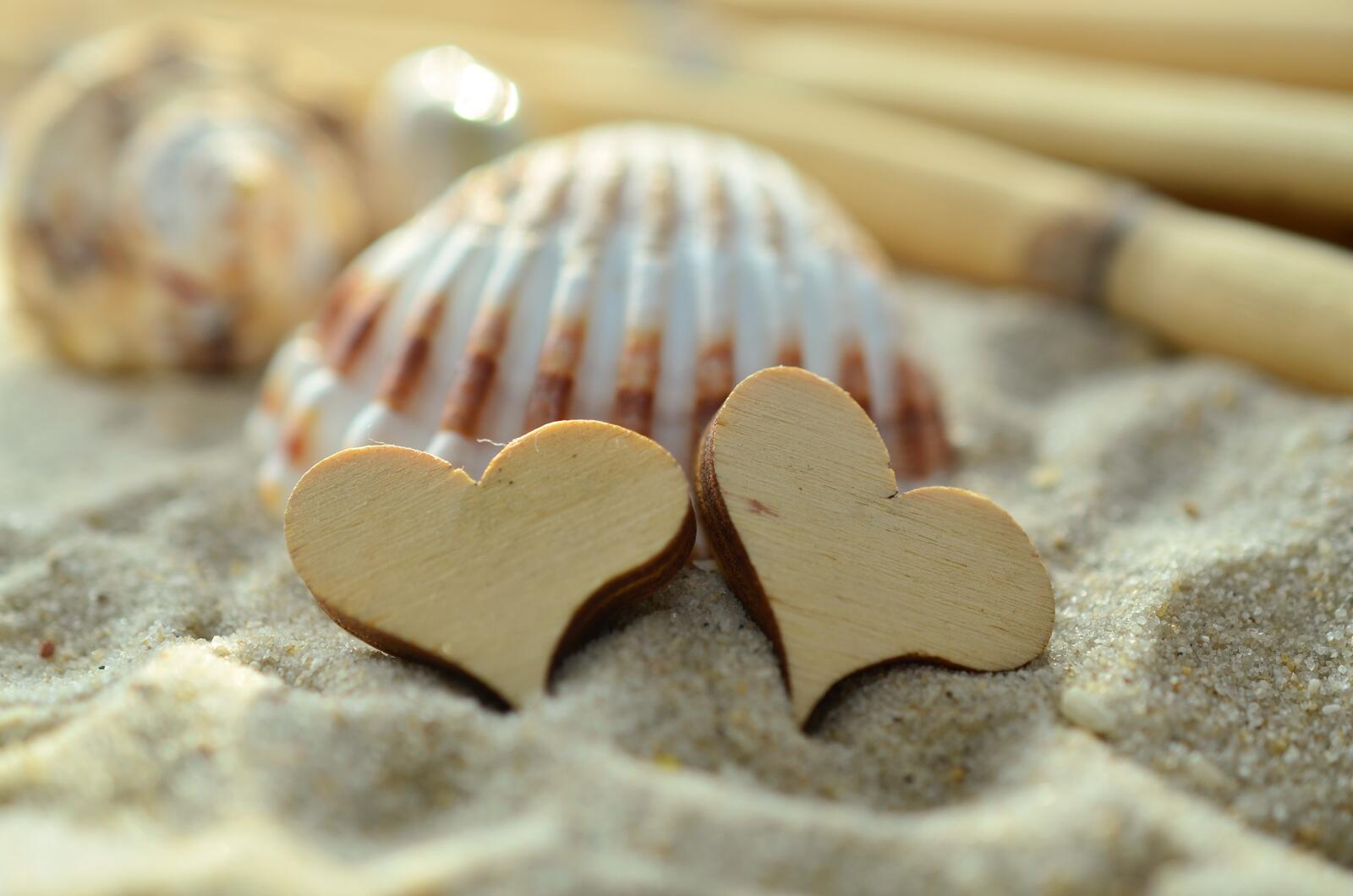 Wallpapers sand shell wood heart on the desktop