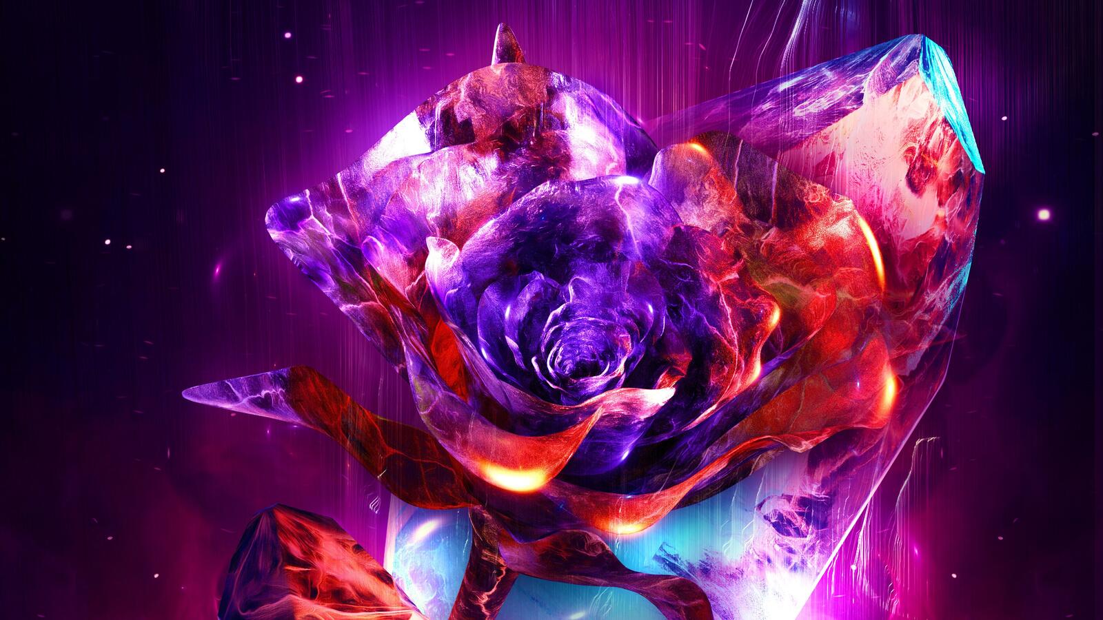 Wallpapers flowers color explosion fiery on the desktop