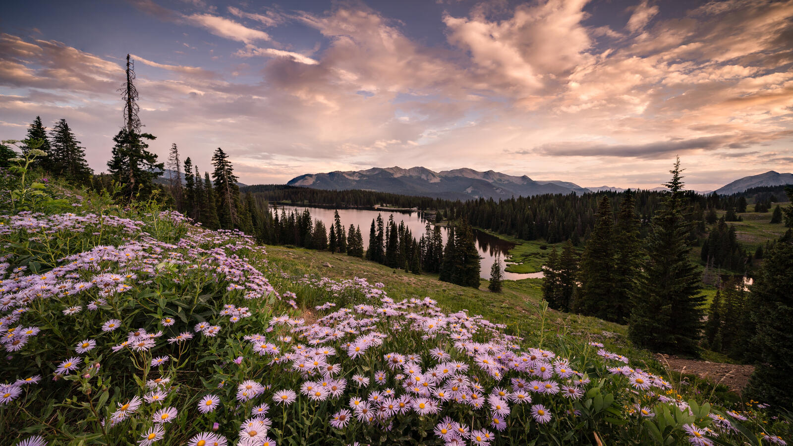 Wallpapers colorado sunset in crested butte hills on the desktop