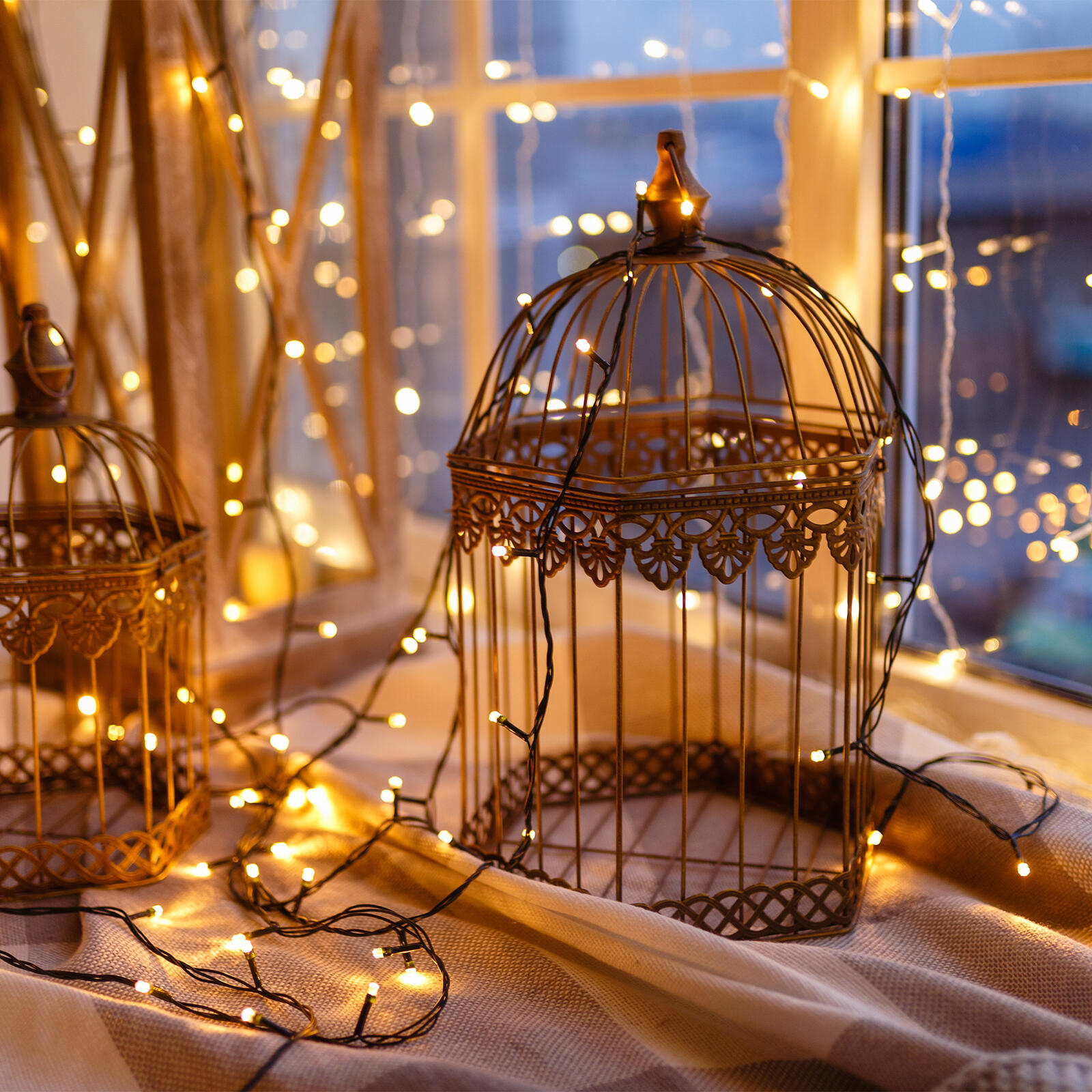 桌面上的壁纸花圈 圣诞灯饰 鸟笼