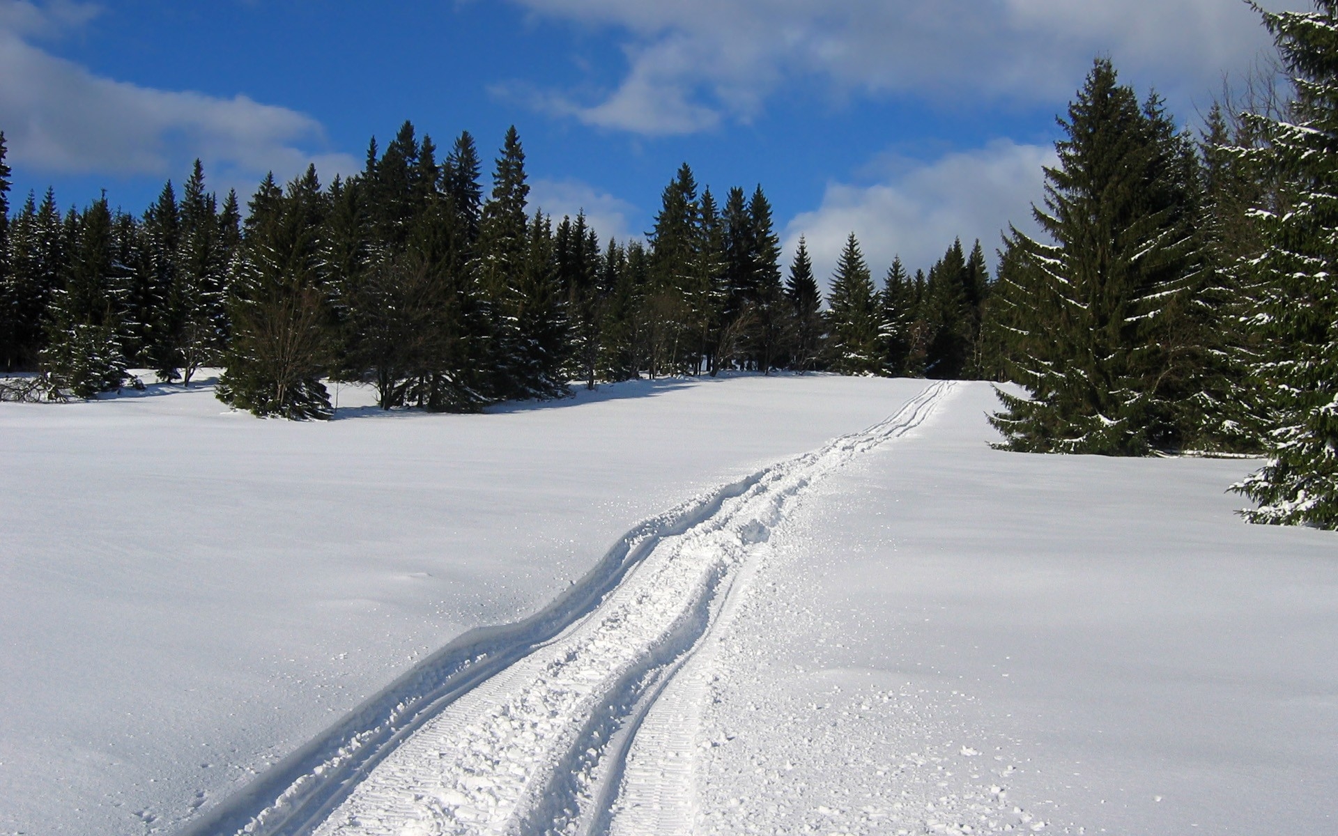 免费照片履带式设备在雪地上留下的痕迹