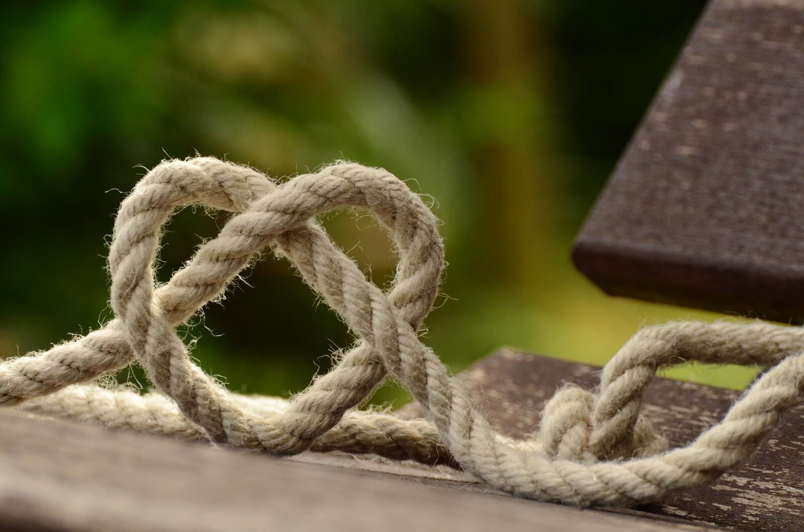 Wallpapers branch rope love on the desktop