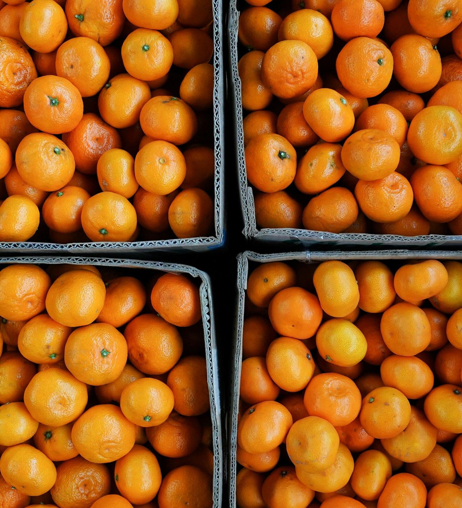 Wallpapers many tangerines tangerines food on the desktop