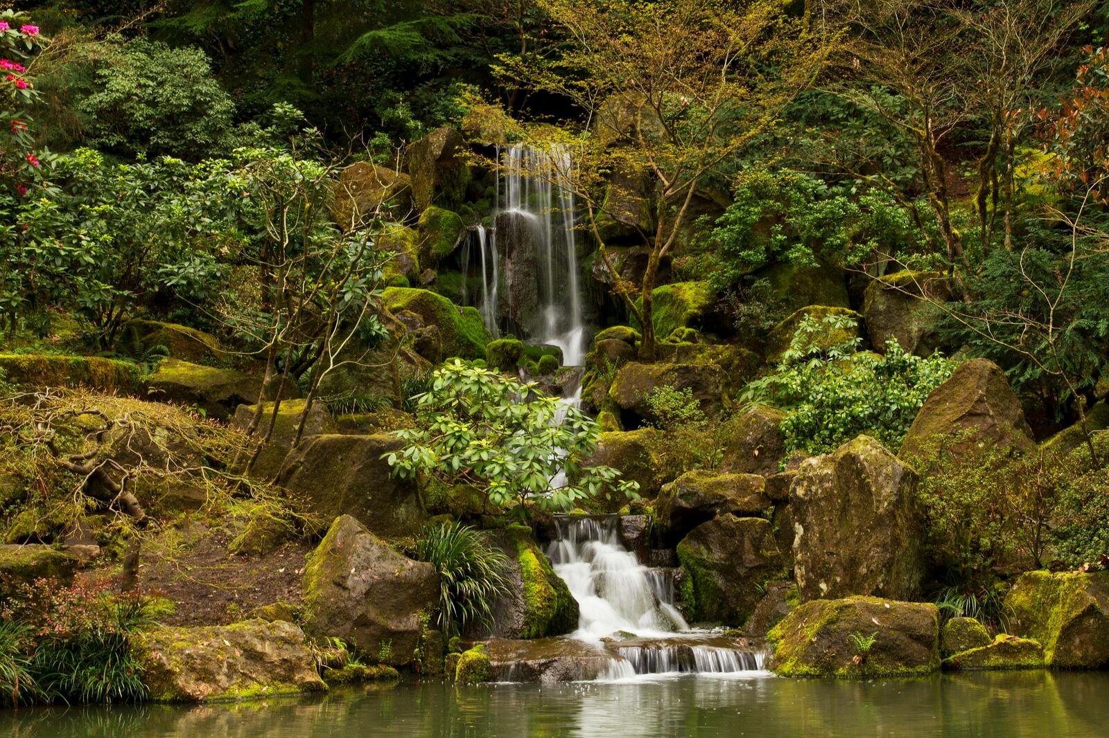 桌面上的壁纸波特兰日本花园的瀑布 瀑布 园区