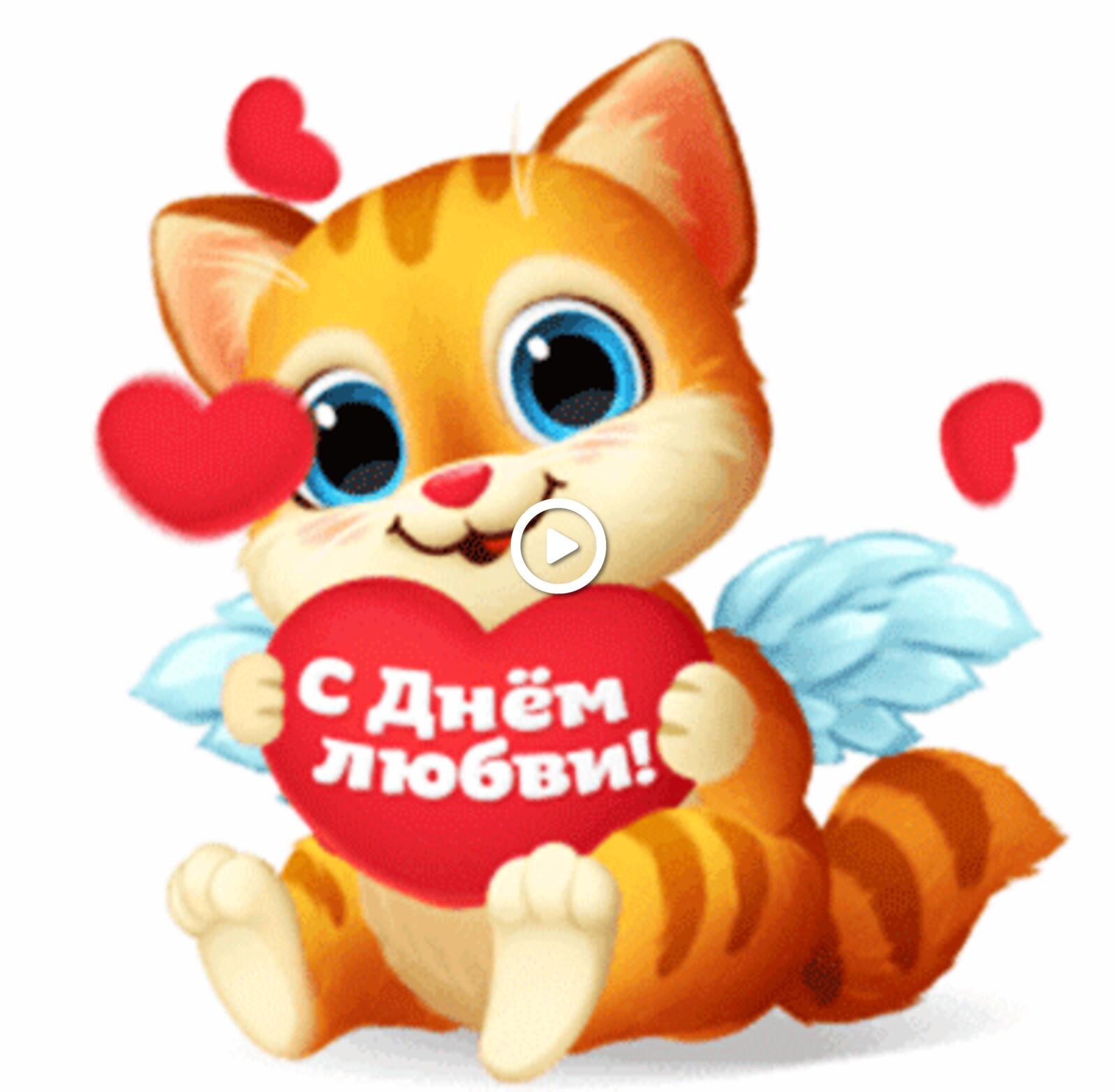 一张以幸福的爱之日 小猫 情人节快乐为主题的明信片