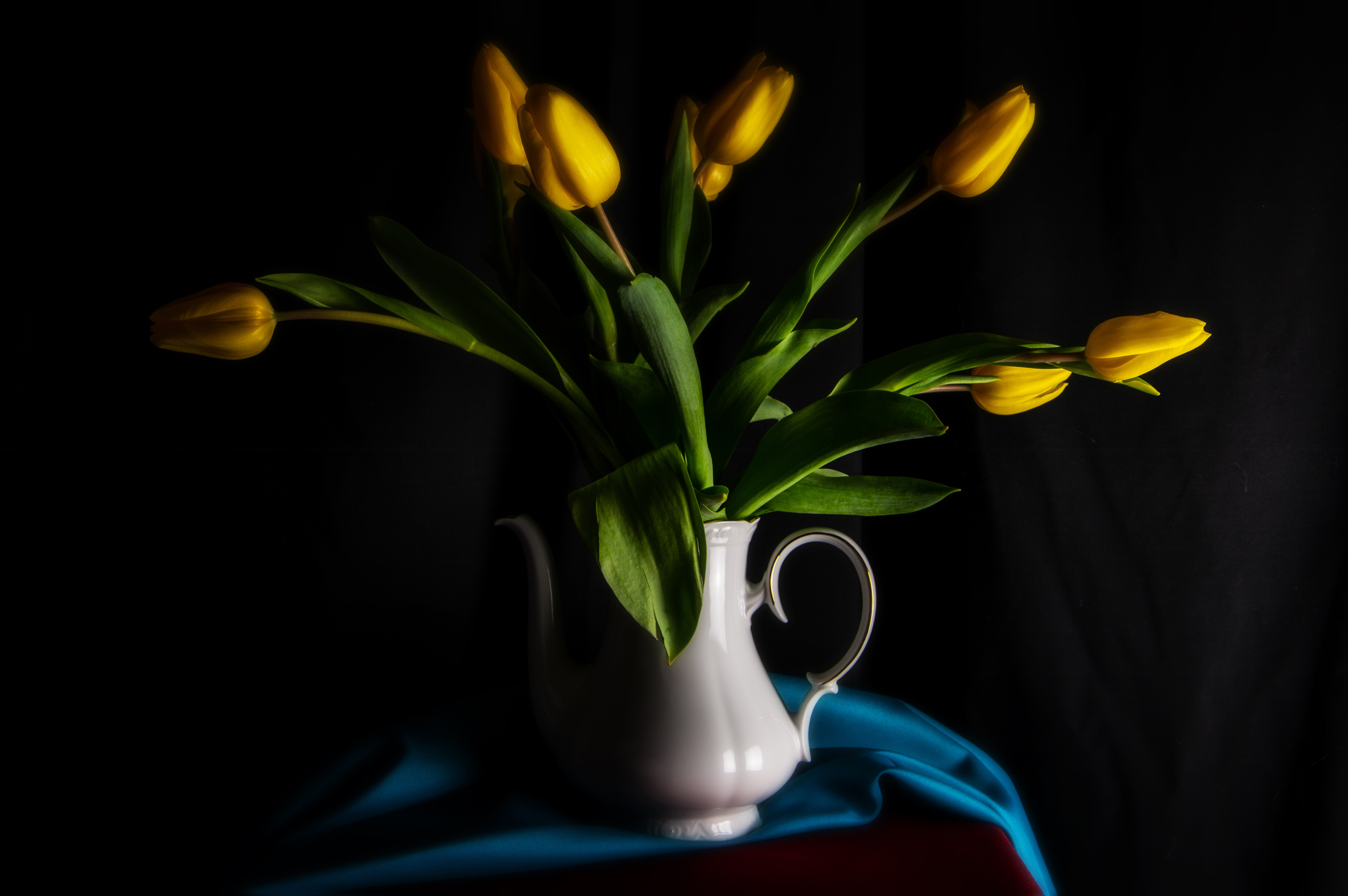 Фото бесплатно цветы, тюльпан, желтый