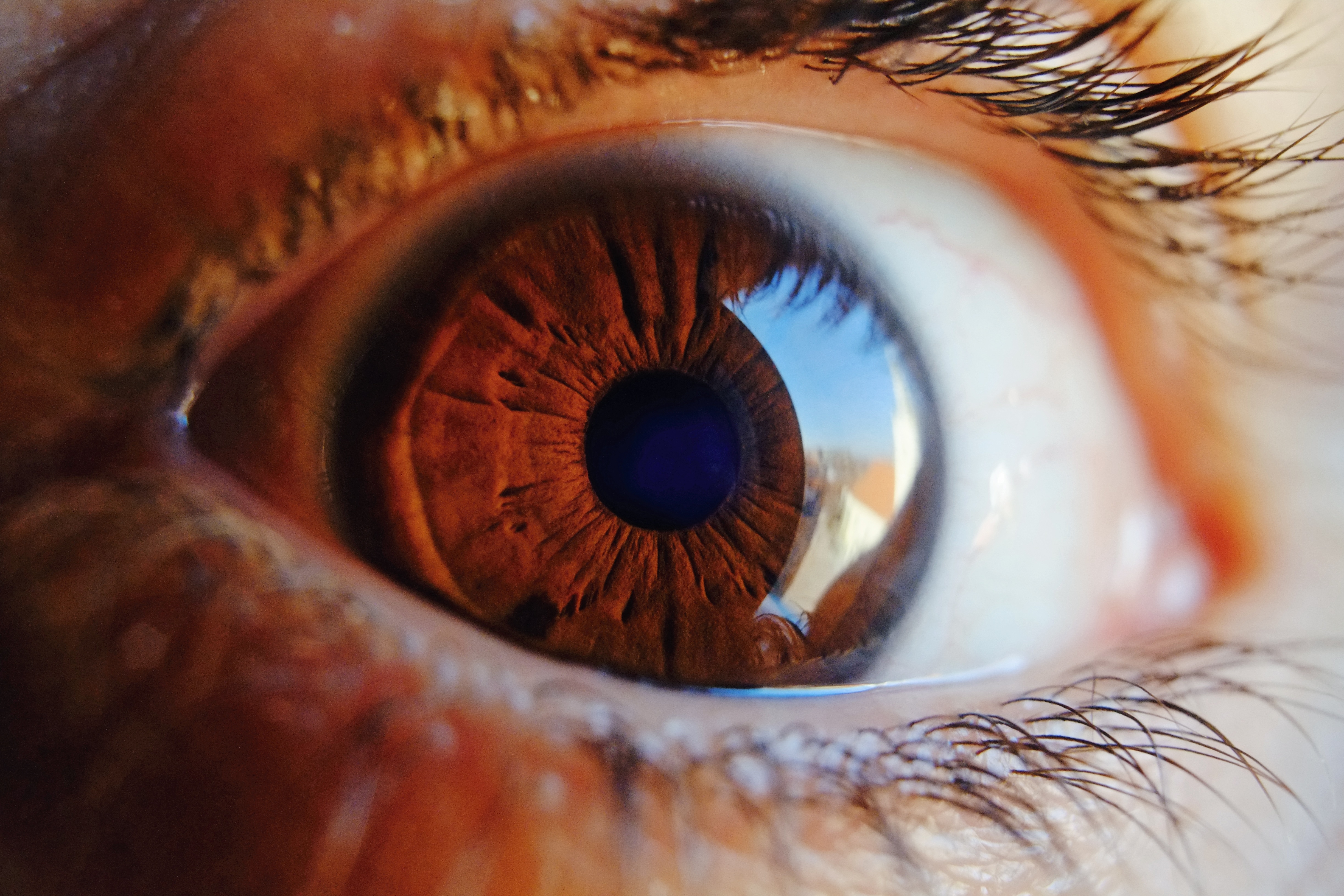 Глаз р. Человеческий глаз. Красивые Радужки глаз. Красивые глаза.