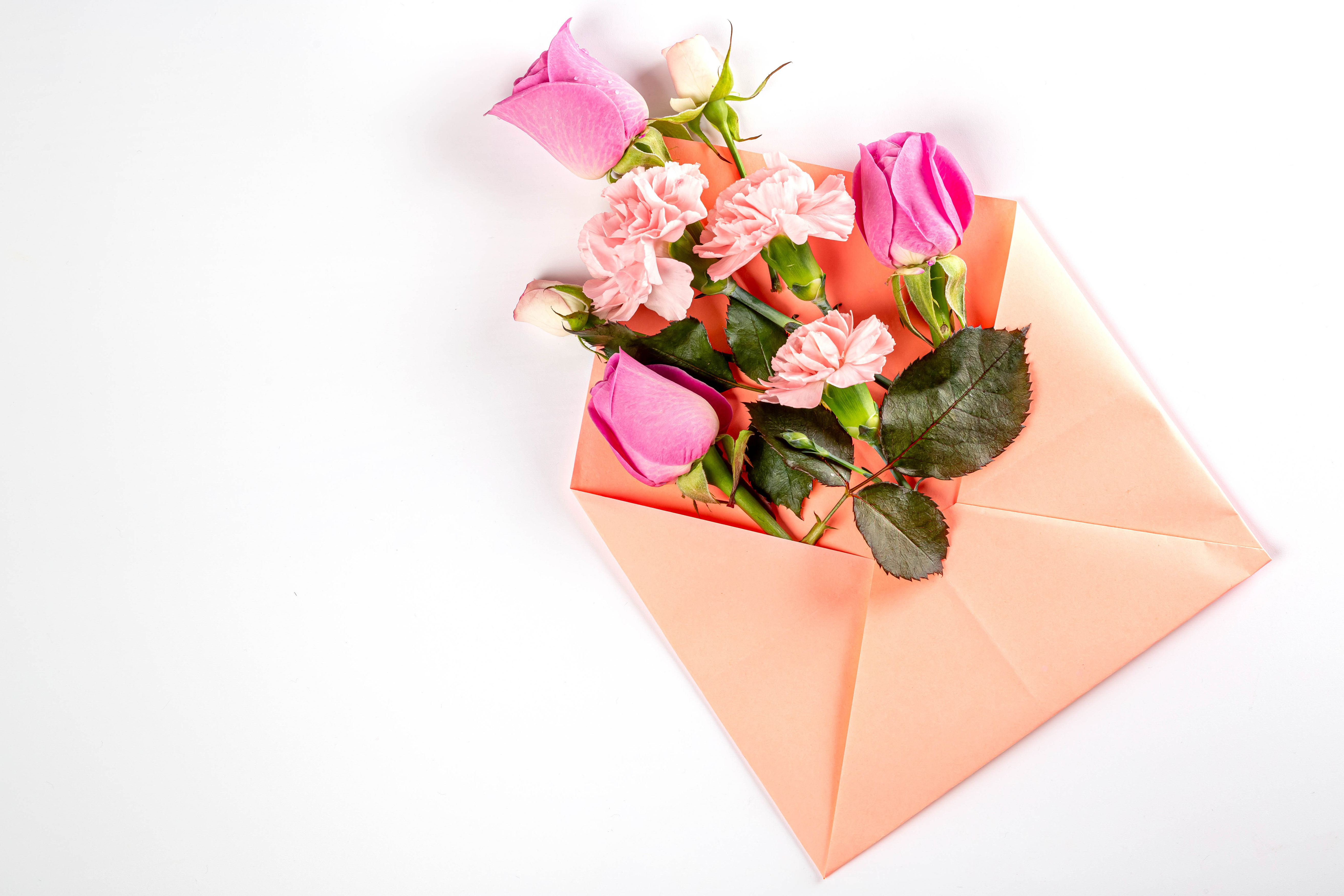 Фото бесплатно цветы, конверт, роза