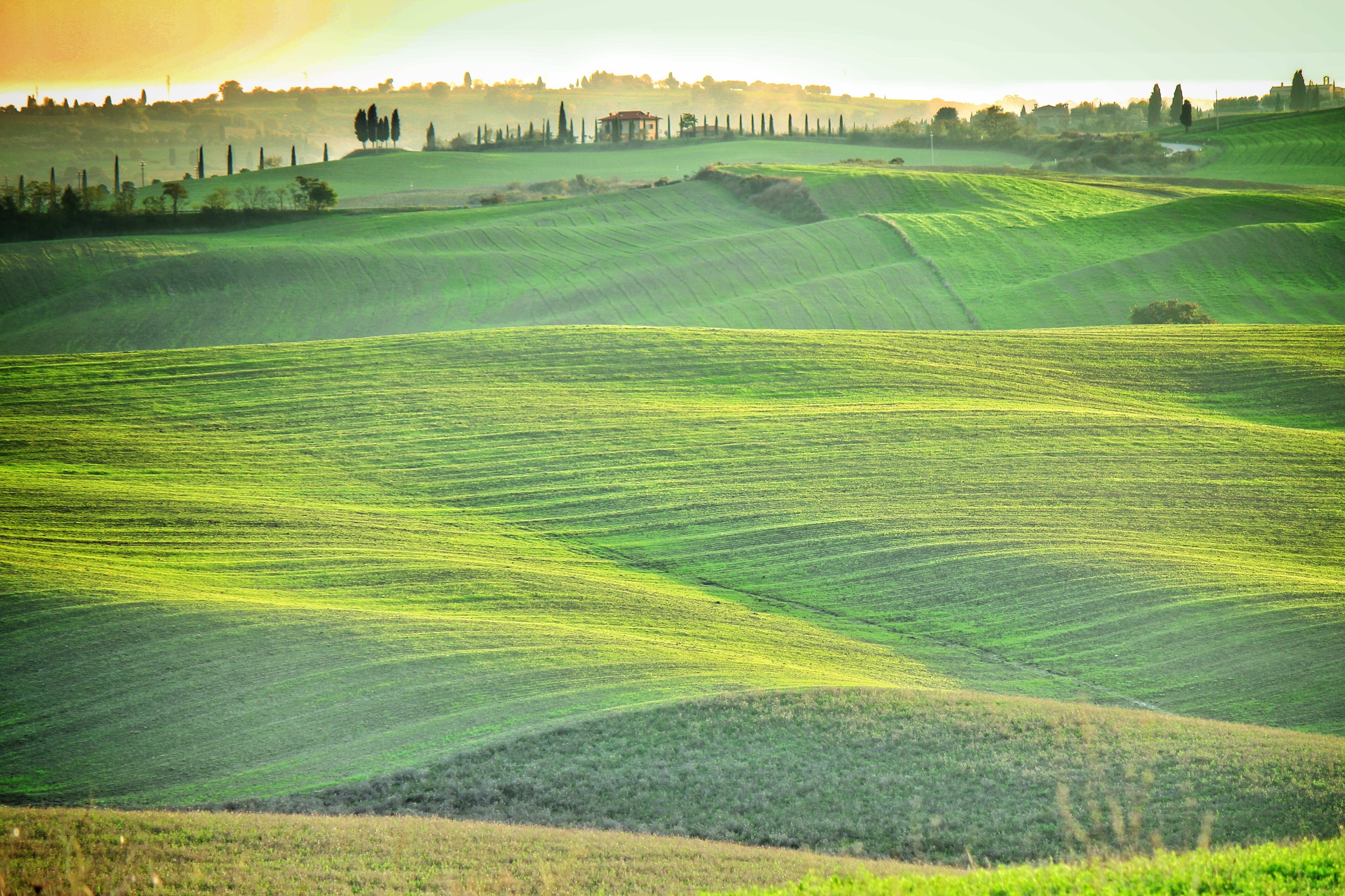 Простые поля. Италия Тоскана ландшафт. Регион Тоскана Италия поля. Зеленые поля Тоскана. Италия поля Тосканы реальные.