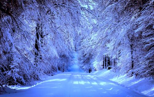 Красивые обои зима, дорога, лес