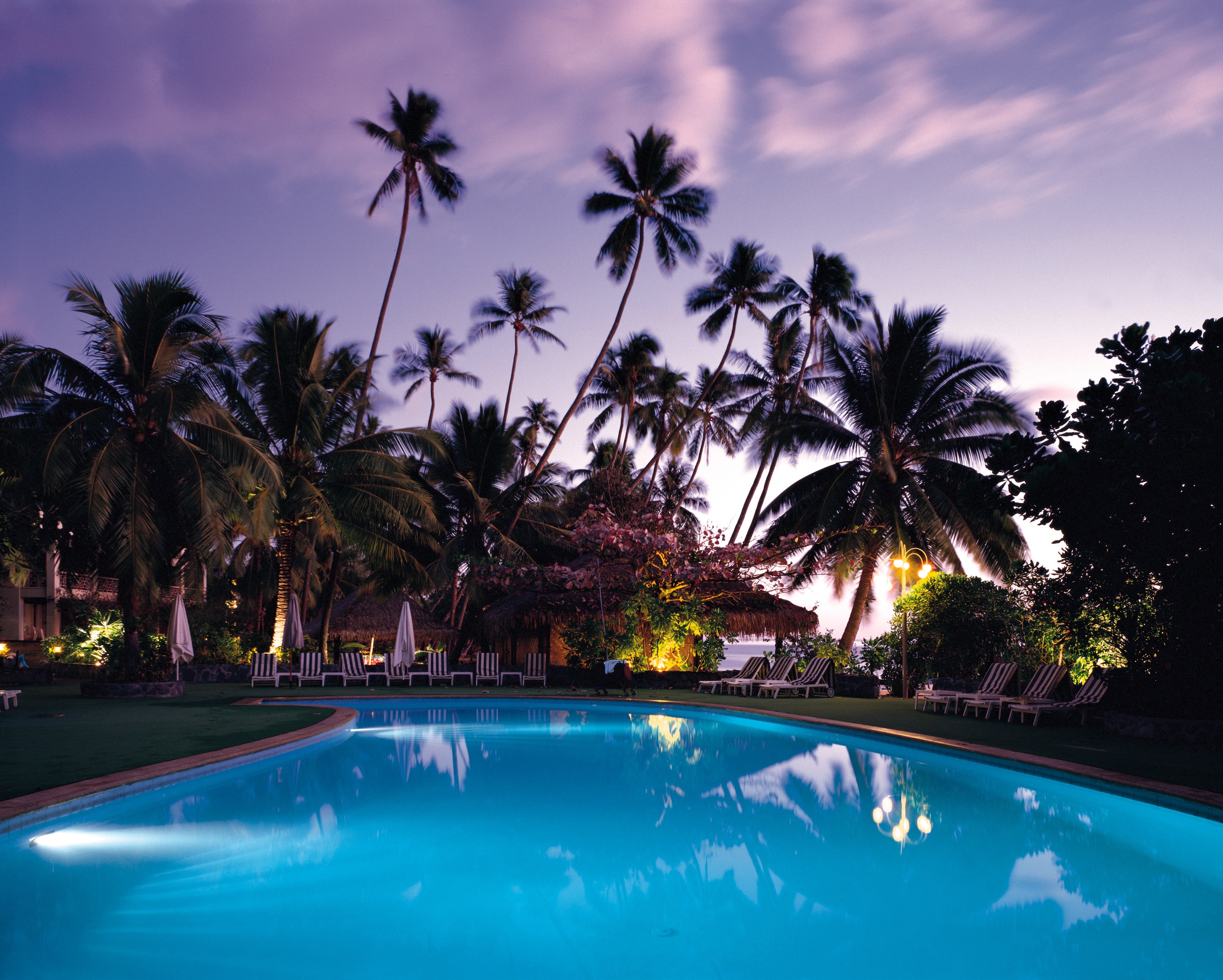 Фото бесплатно закат, пальмы, отпуск