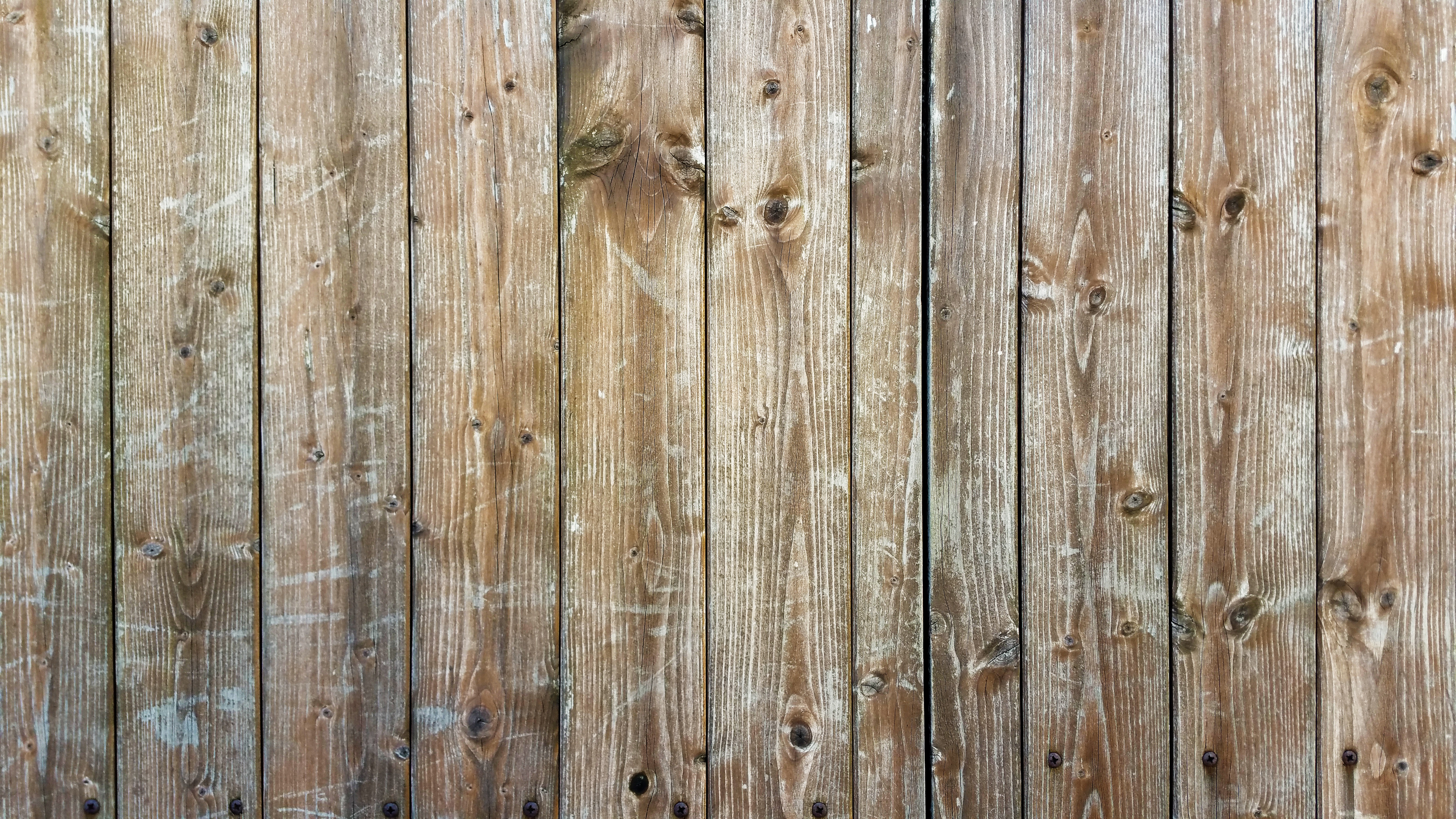 New wooden. Деревянная стена. Старые доски. Фон дерево. Текстура дерева доски.