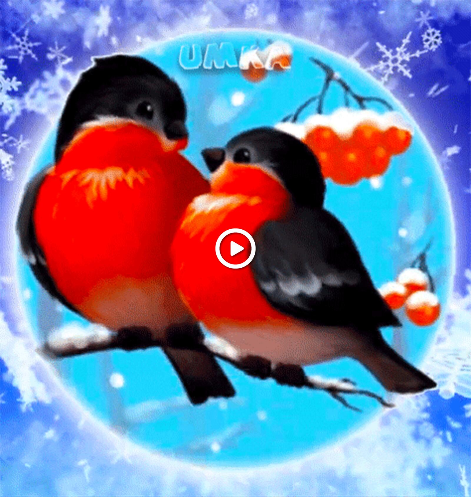 Открытка на тему счастье птицы зима бесплатно