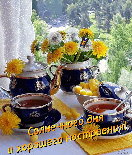 Postcard free morning wish, good morning, good morning have a nice day