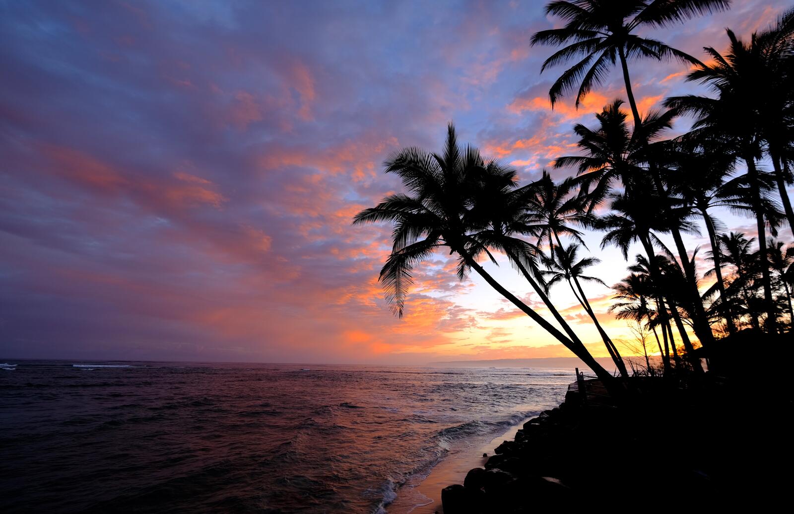 Wallpapers the island of Oahu Hawaii sunset on the desktop
