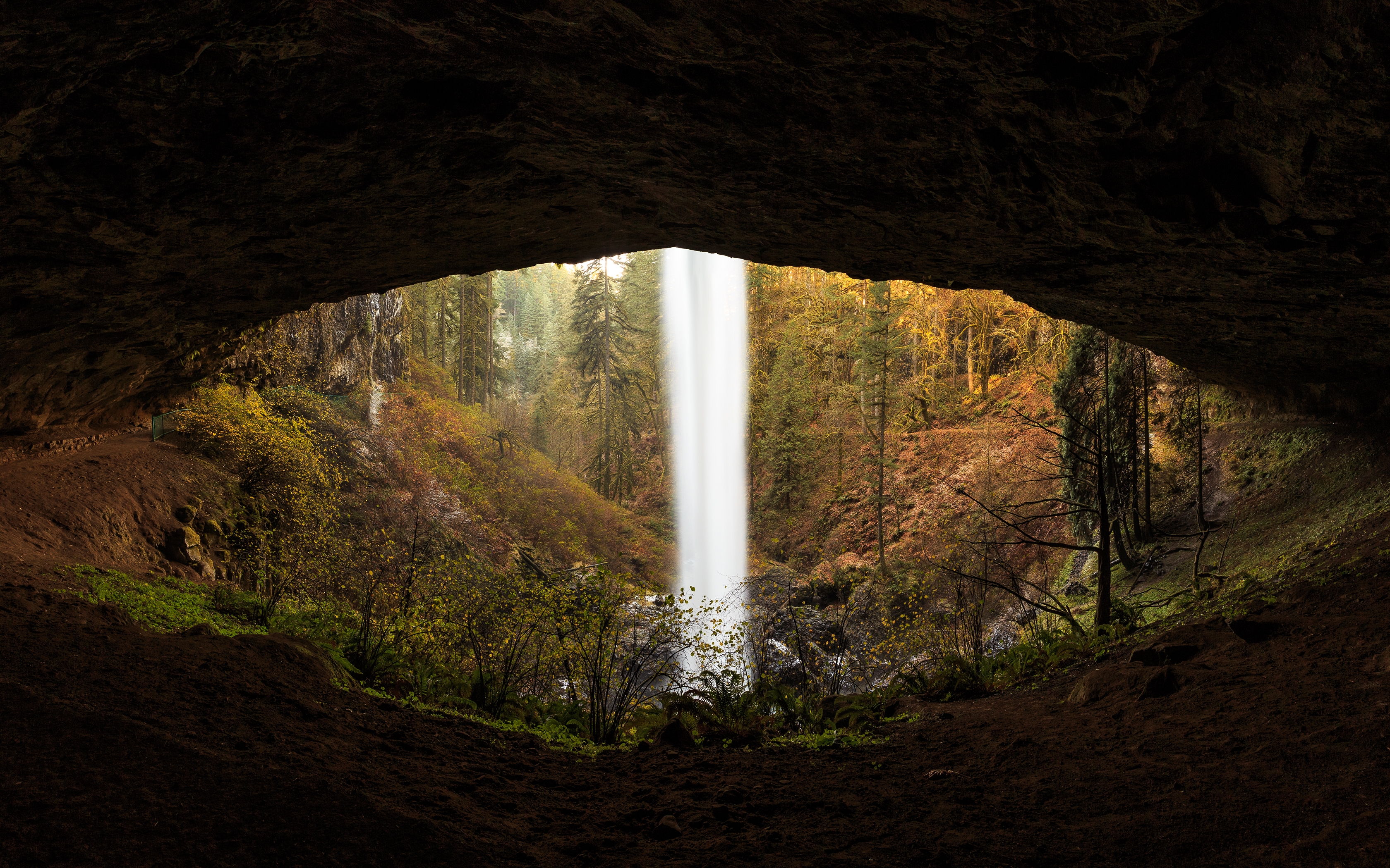 Обои водопад пещера лес на рабочий стол