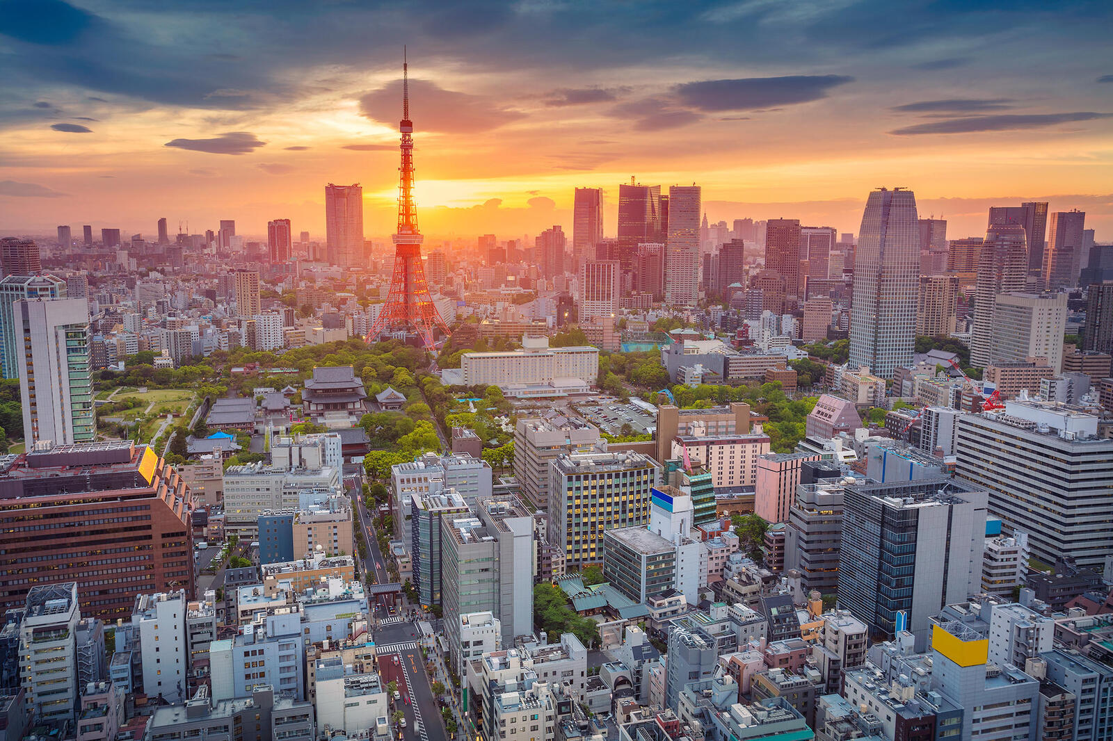 Обои Япония город Tokyo на рабочий стол