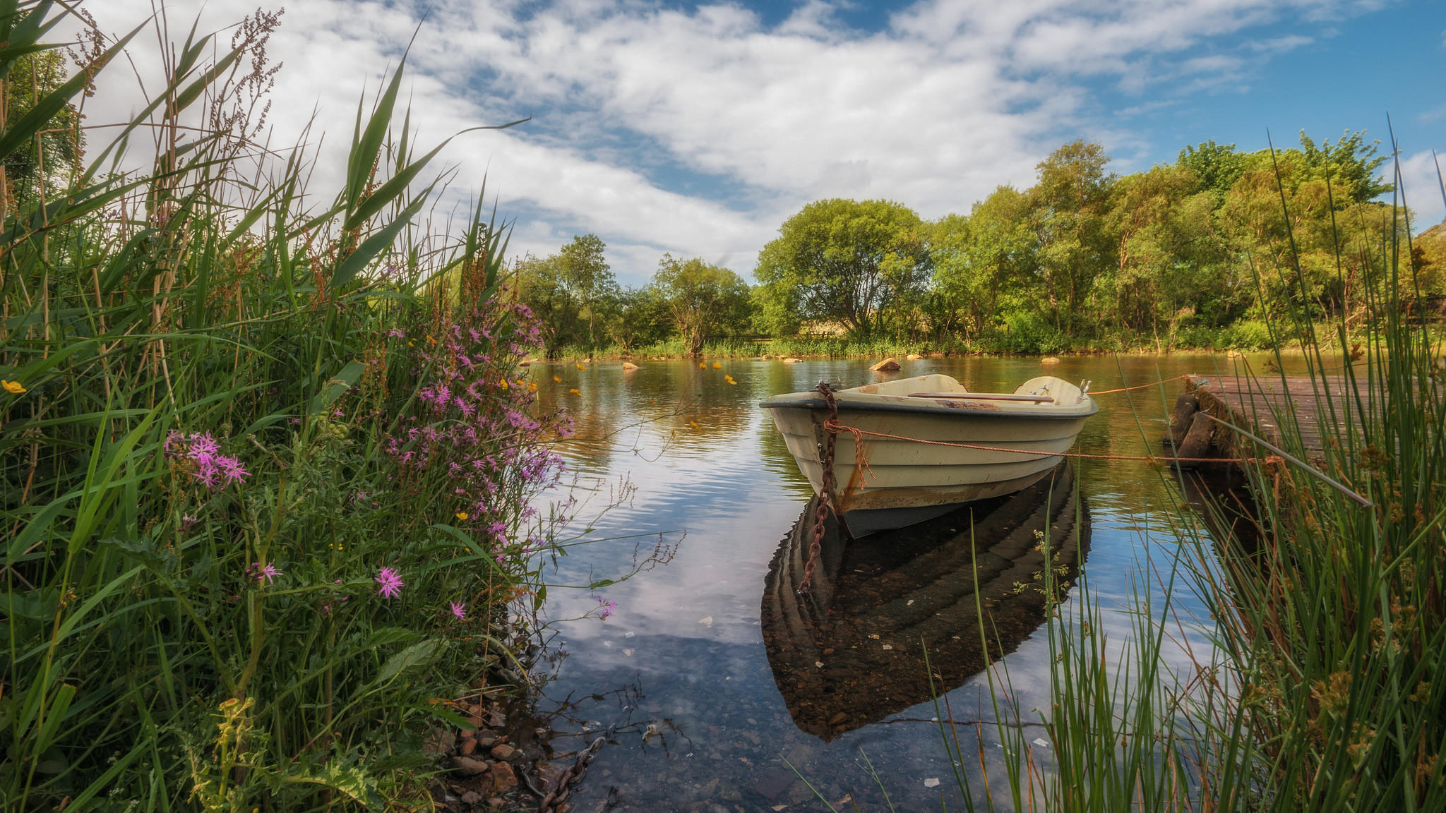 лодка озеро природа деревья трава скачать