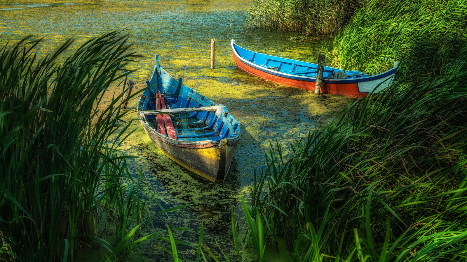 Wallpapers lake boats nature on the desktop