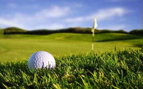 A golf ball on the green grass.