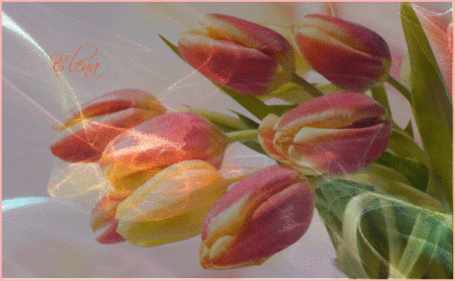 Postcard card for friends bouquet flowers - free greetings on Fonwall