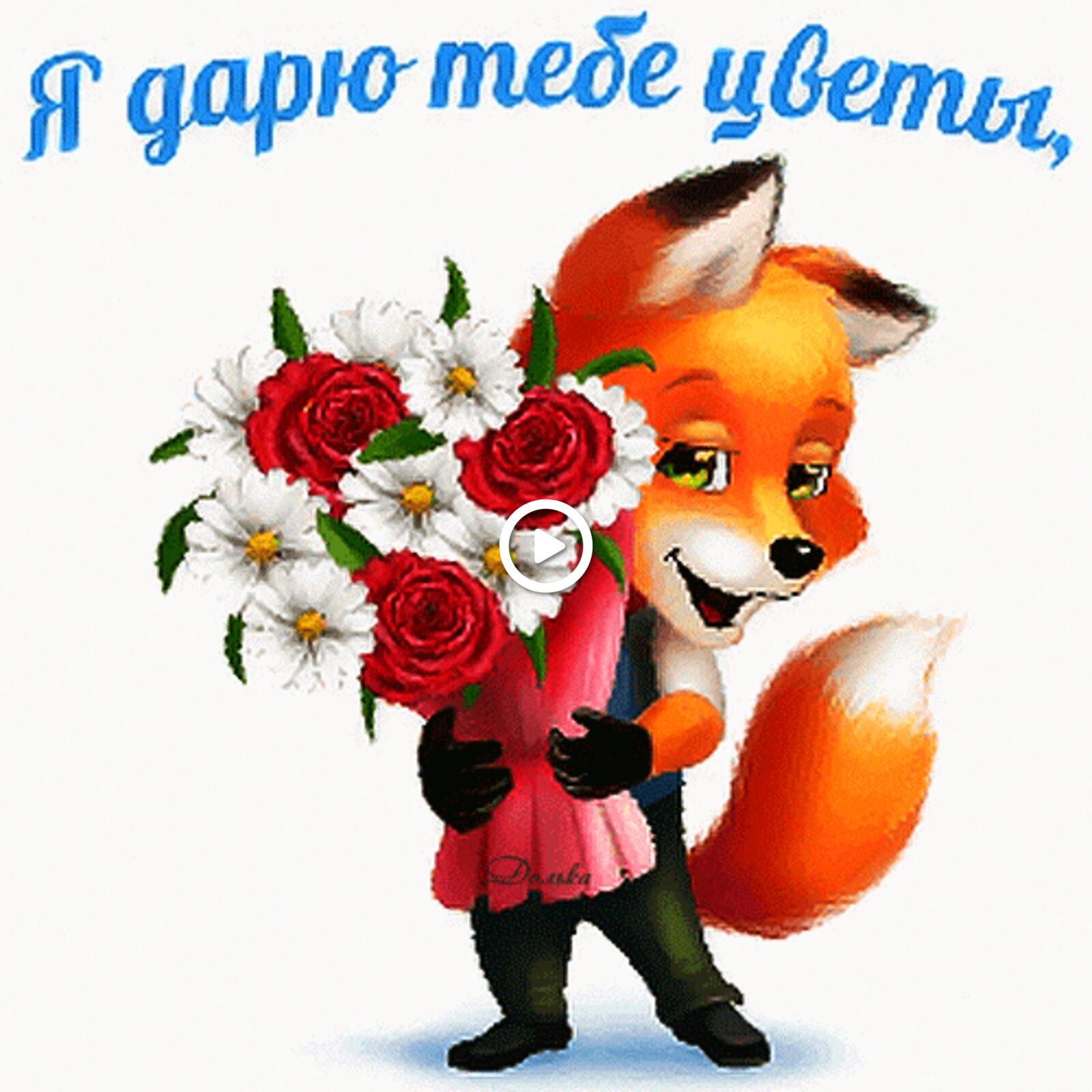 you flowers flowers fox