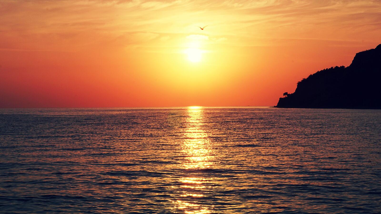 Обои обои океан горизонт солнечный закат на рабочий стол