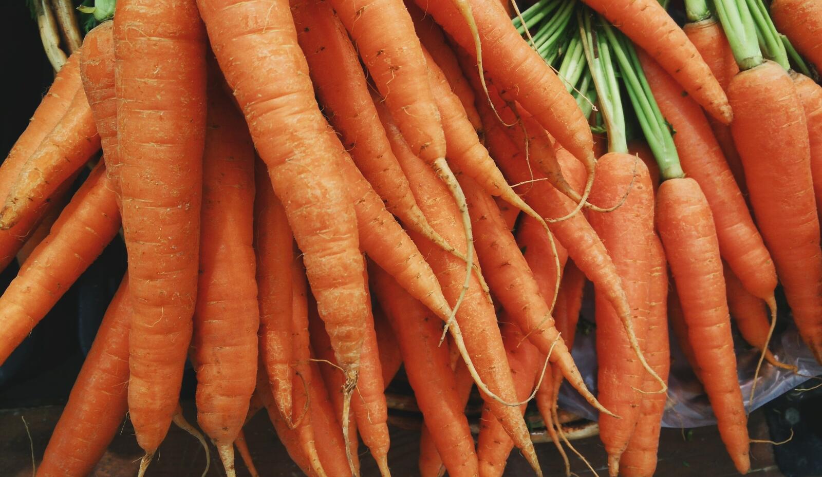 Обои морковь свежие овощей на рабочий стол