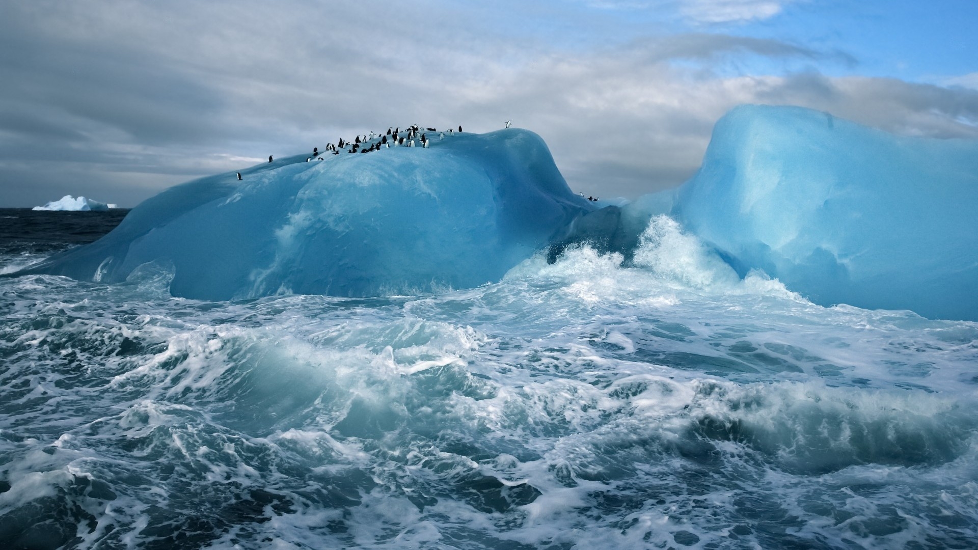 Обои пингвины айсберг волны на рабочий стол