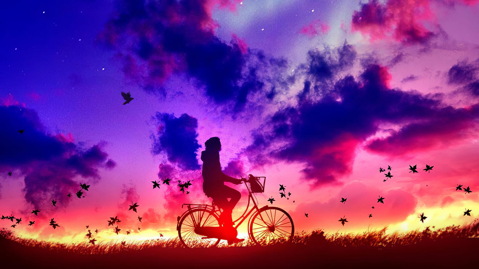 Wallpapers bicycle cyclist artist on the desktop
