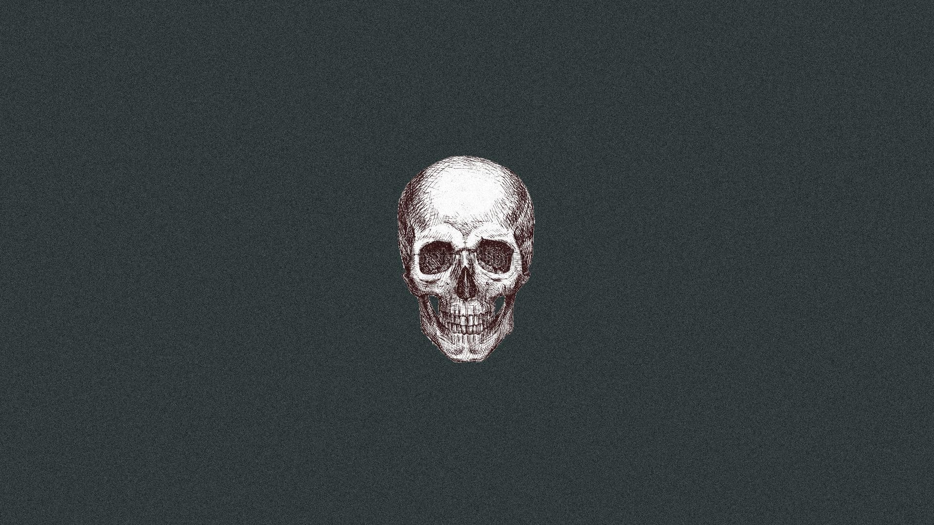 Wallpapers skull artist digital art on the desktop