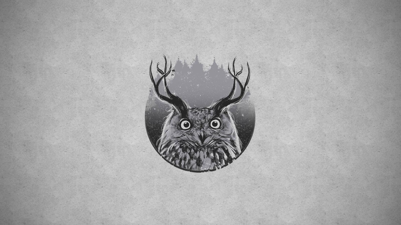 Wallpapers wallpaper owl minimalistic graphic design on the desktop
