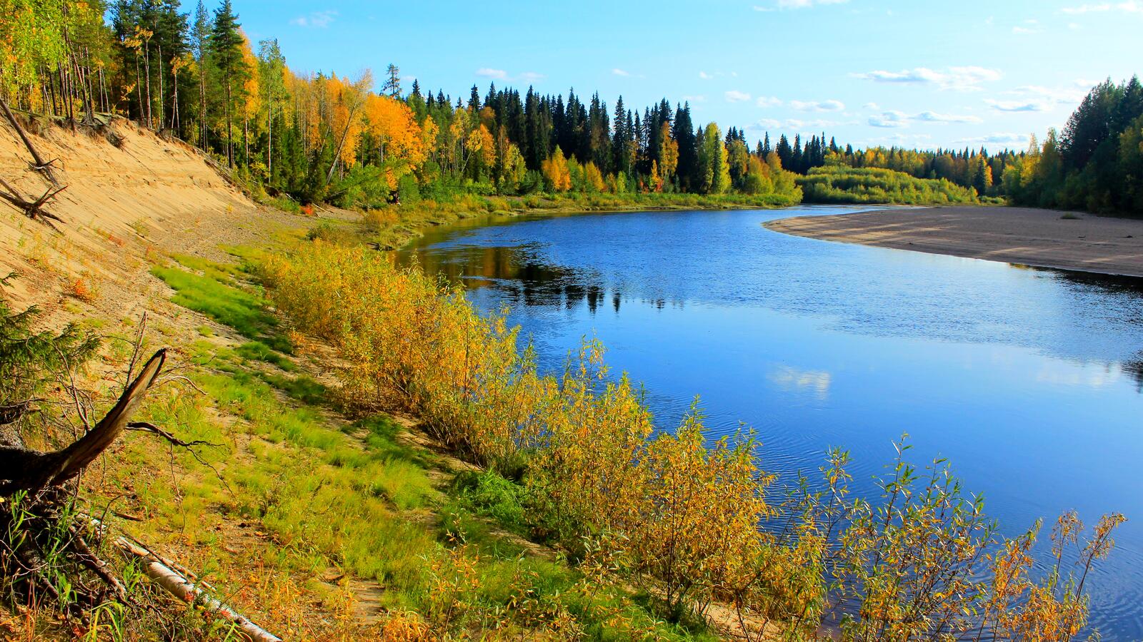 Бесплатное фото Осень золотая на таёжной речке