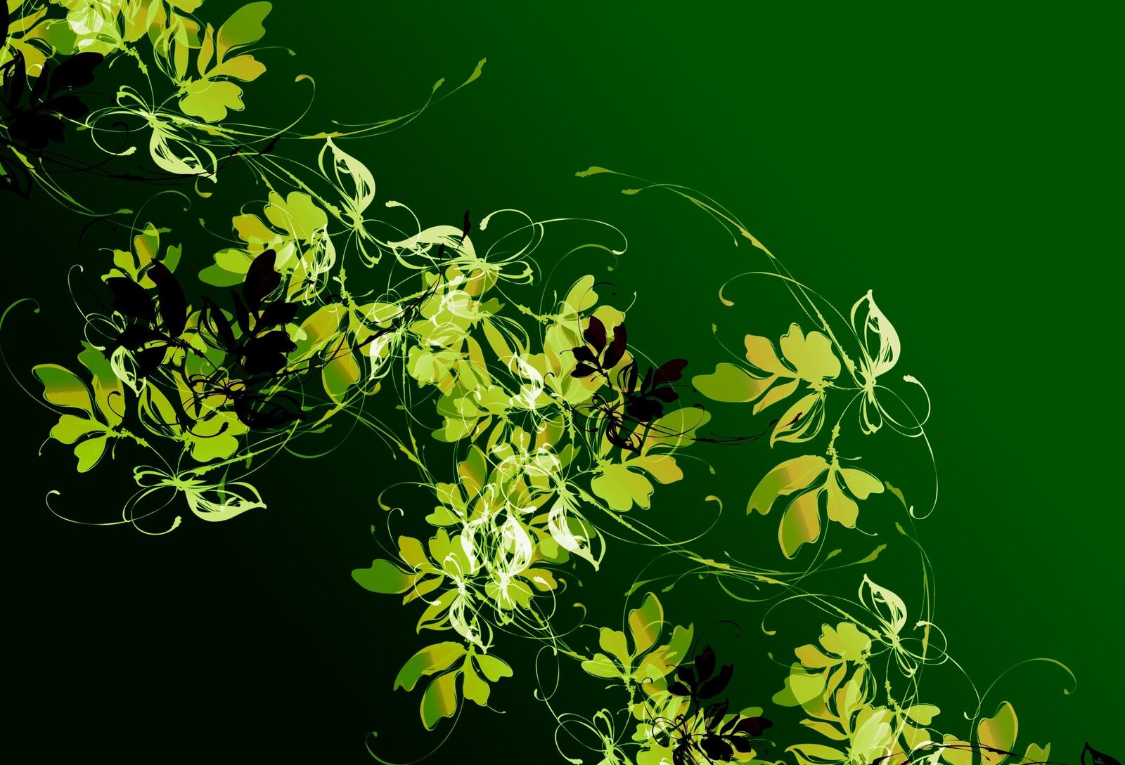 Обои искусство размытый фон зеленые листья на рабочий стол