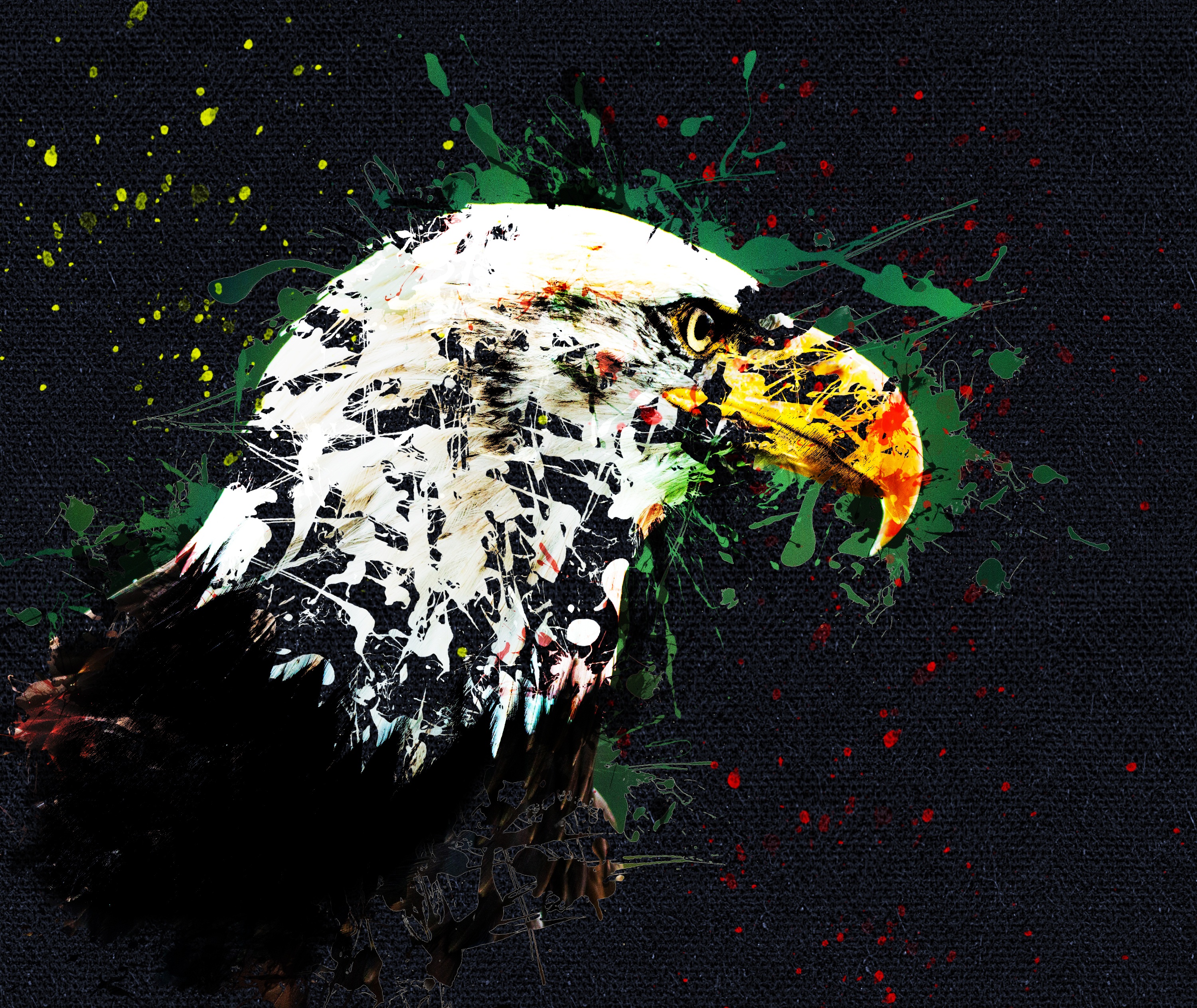 Photo free Eagle, art, beak