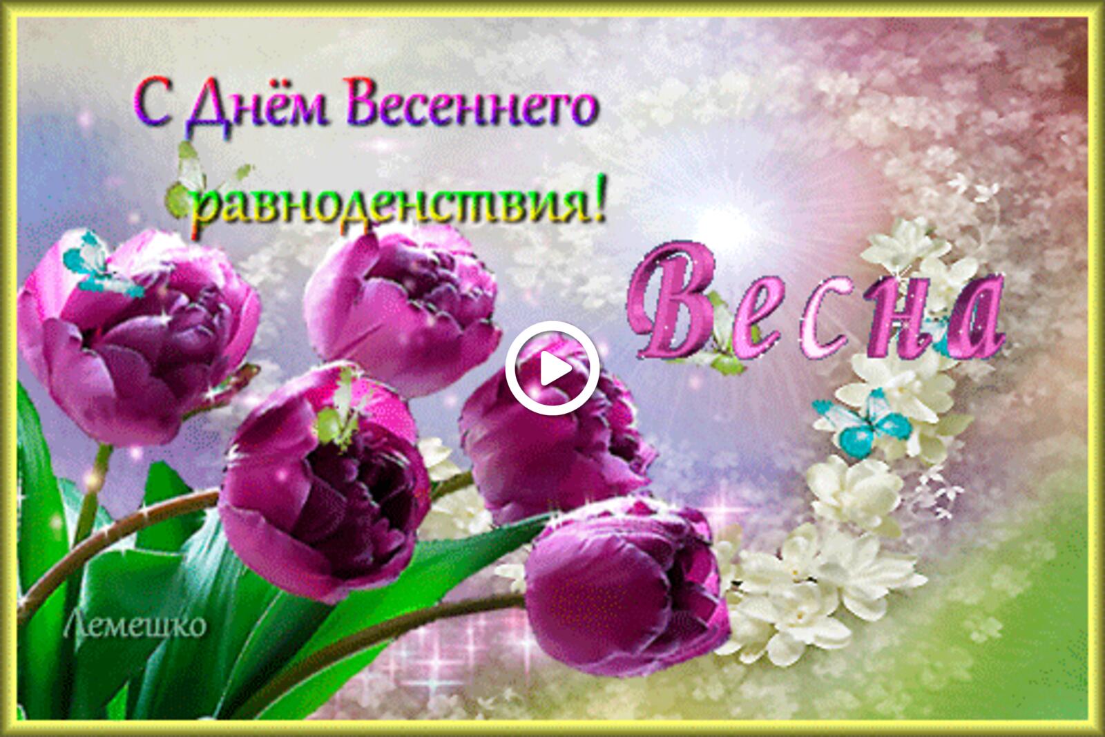 Открытка на тему бабочки пять тюльпанов цветочный фон в виде сердечка бесплатно