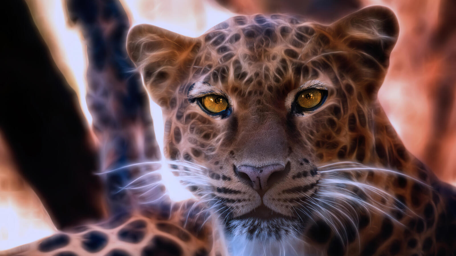 Wallpapers leopard animals rendering on the desktop